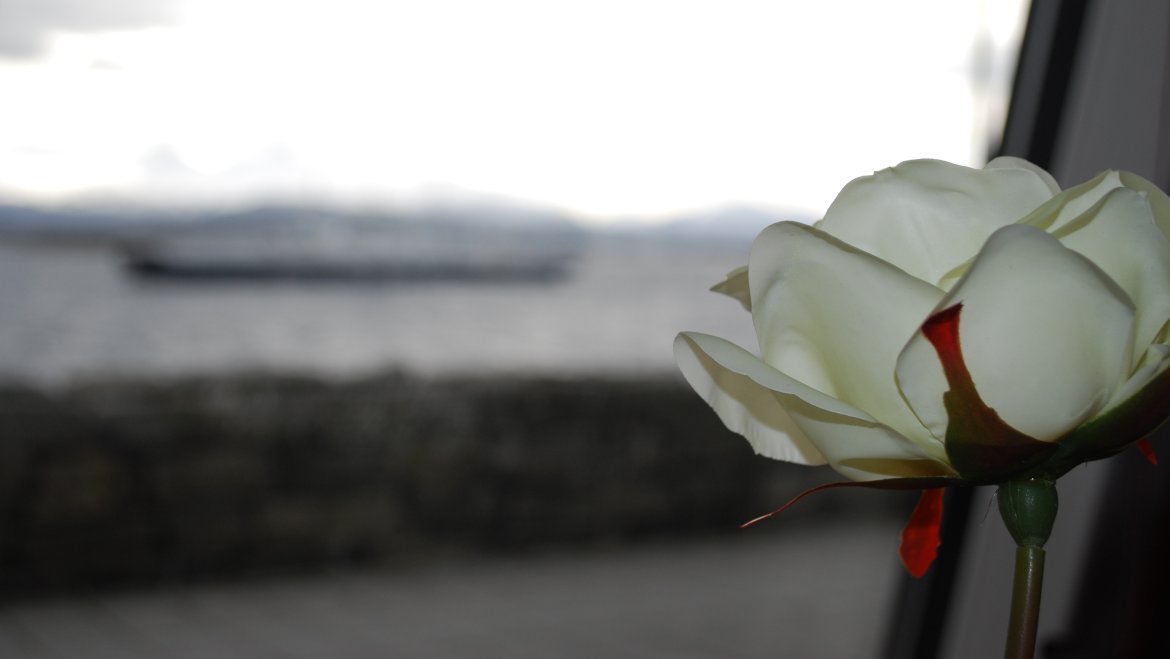 Utsikt over Moldefjorden fra restaurant